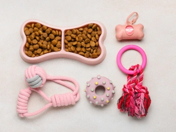 Pet Accessories